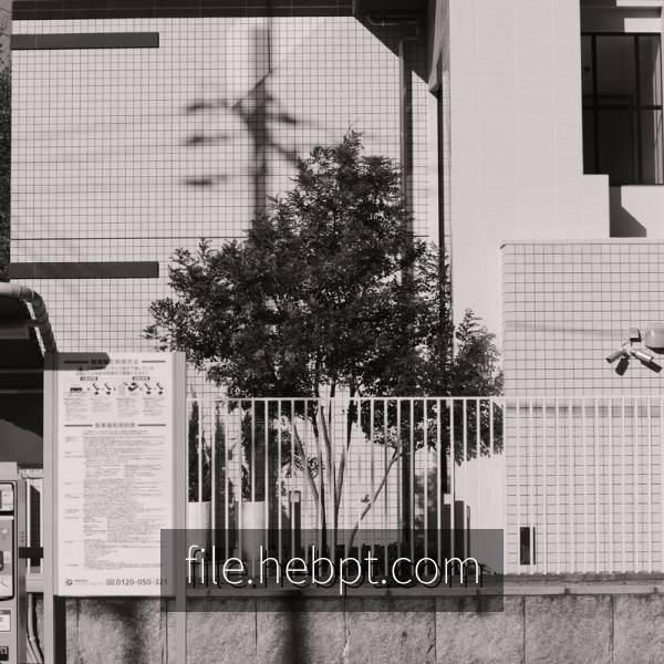 长房东旭国际130㎡雅致现代三居室 香蕉视频黄色APP案例实景图-image46